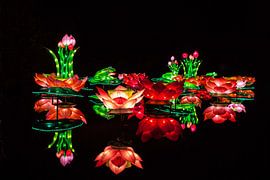 China Light by Stefan Wapstra