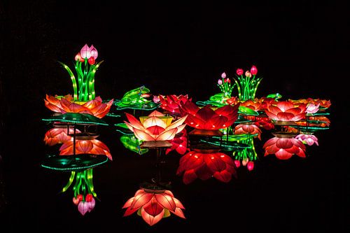 China Light