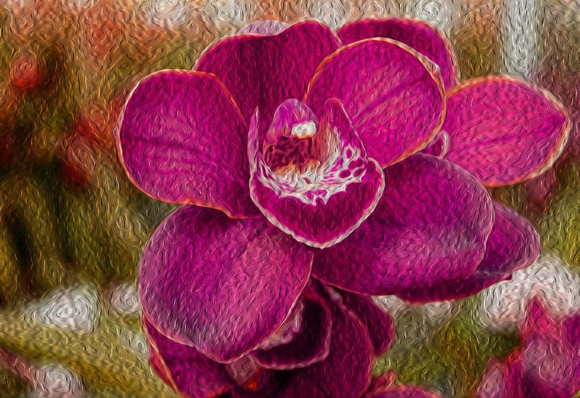 Mooie paarse orchidee van Valeriia T