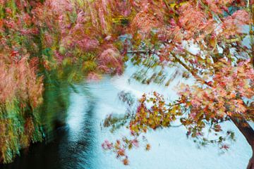 Artistieke herfstwind door de bomen van Dexter Reijsmeijer