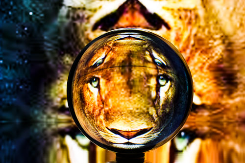Lensball Fantasy Leeuw 003