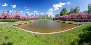 Berlin - Lilienthalpark mit voller Kirschblüte