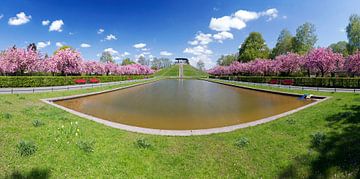 Berlin - Le parc Lilienthal en pleine floraison des cerisiers