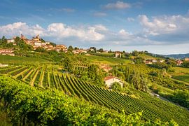 Das Dorf Neive und die üppigen Sommerweinberge in den Langhe, Piemont von Stefano Orazzini