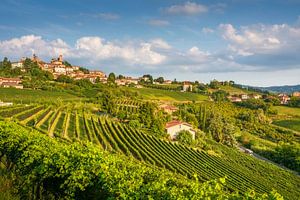 Das Dorf Neive und die üppigen Sommerweinberge in den Langhe, Piemont