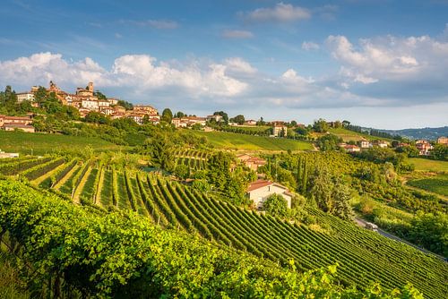 Het dorp Neive en de weelderige zomerse wijngaarden in de Langhe, Piemonte