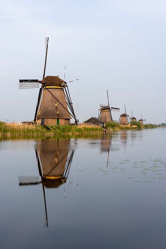 Molens van Kinderdijk weerspiegeld in de boezem