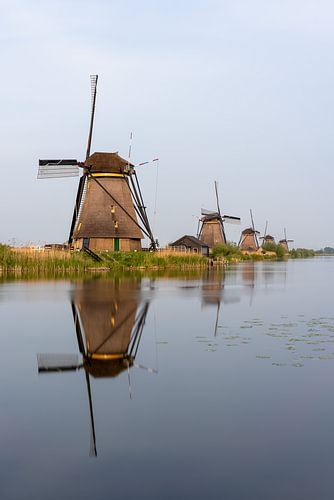 Molens van Kinderdijk weerspiegeld in de boezem
