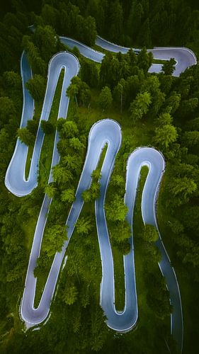 Haarnadelkurven des Stilfserjochs durch den Wald