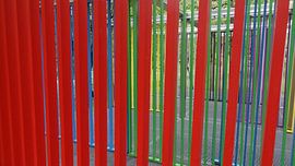 des lignes enchanteresses sur Frans Collette