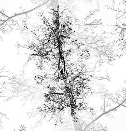 Abstract treetops black and white by Ruud Overes