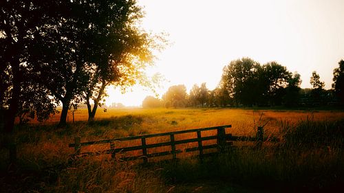 Etwas mehr Sonne von IlseKoole