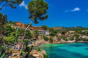 Cala Fornells, mooi strand Mallorca, Middellandse Zee van Alex Winter