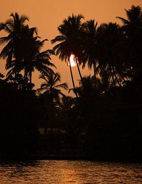 Sonnenuntergang in Bentota von Dilani Butink
