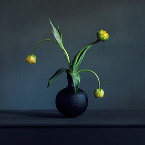 Gele pioentulpen in zwarte vaas van Mariska Vereijken