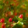 Vintage Azalea in de knop van Wendy van Kuler Fotografie