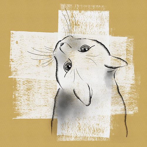 Pen drawing of cat on white paint