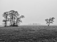 Mistige ochtend rond Soest