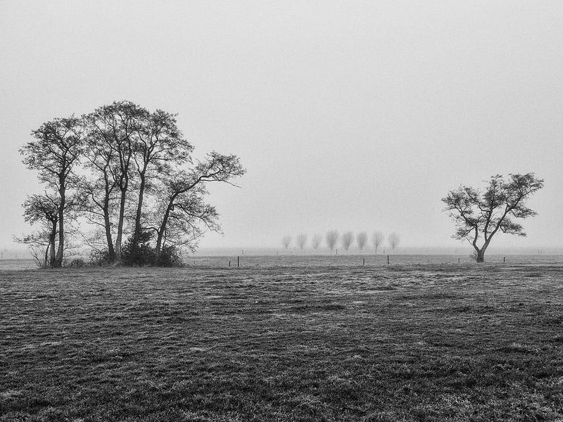 Matin brumeux autour de Soest par Ron van Ewijk