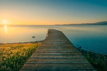 Houten pier aan het Trasimenomeer en een zwaan bij zonsondergang, Umbrië van Stefano Orazzini