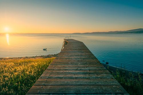 Houten pier aan het Trasimenomeer en een zwaan bij zonsondergang, Umbrië