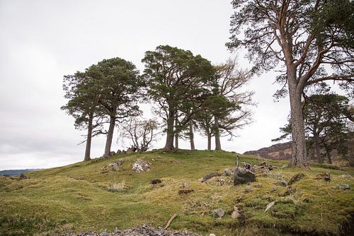 Craig Na Dun (Outlander)