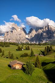 Spring on the Seiser Alm by Achim Thomae Photography