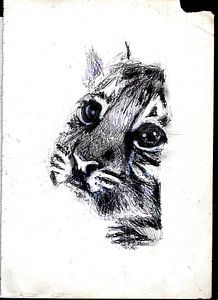 BABY TIGER