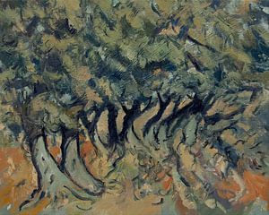 Olive grove