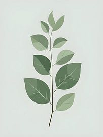 Eukalyptus Gelassenheit