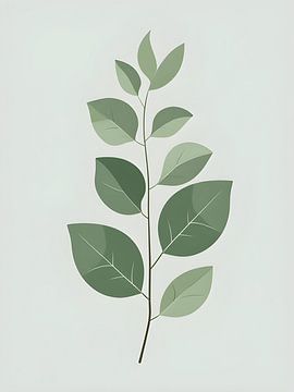 Eucalyptus Serenity by Giandra Safaraz