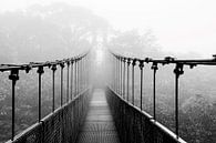 Hängebrücke im Nebelwald in Costa Rica von Bianca ter Riet Miniaturansicht