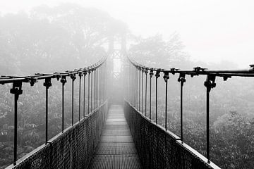 Pont suspendu dans une forêt de nuages au Costa Rica sur Bianca ter Riet