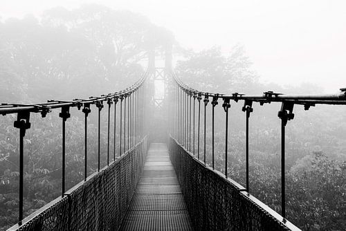 Pont suspendu dans une forêt de nuages au Costa Rica