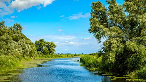 Paysage fluvial du Mecklembourg II