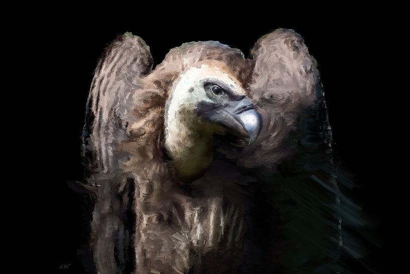 The Vulture by Alida van Luijn-Toet