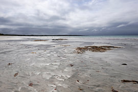 Scotland