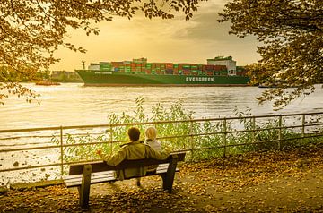 Fotografie Hamburg Architectuur - Containerschip op de Elbe van Ingo Boelter
