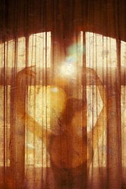 Hidden Grace by Mark Isarin | Fotografie