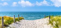 strandpad naar de baltische zee