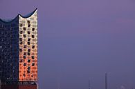Hamburg : Elbphilharmonie van Torsten Krüger thumbnail