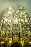 dom in nebel