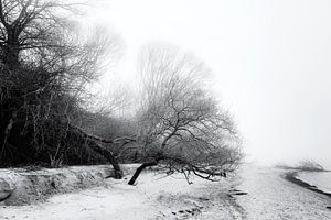 Brouillard et mer