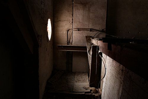 Series Robijnsweg 11