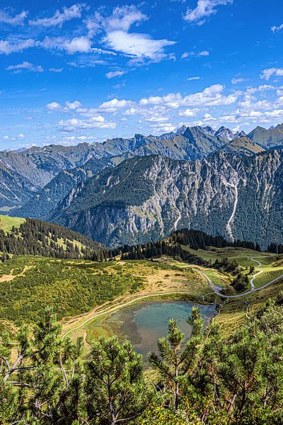 BAVARIA : OBERALLGÄU - OBERSTDORF - FELLHORN - SCHAPPOLDSEE van Photoart-Naegele