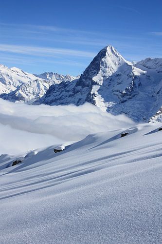 Poedersneeuw met de Eiger