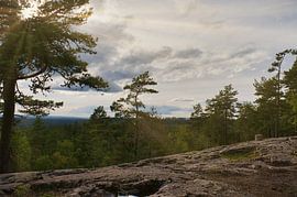 Skurugata in Småland, Schweden. Aussichtspunkt mit Blick über Wälder in Skandinavien.