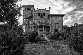 Zanelli 2 by Kirsten Scholten