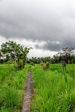 Cloudy day in Bali by Mickéle Godderis