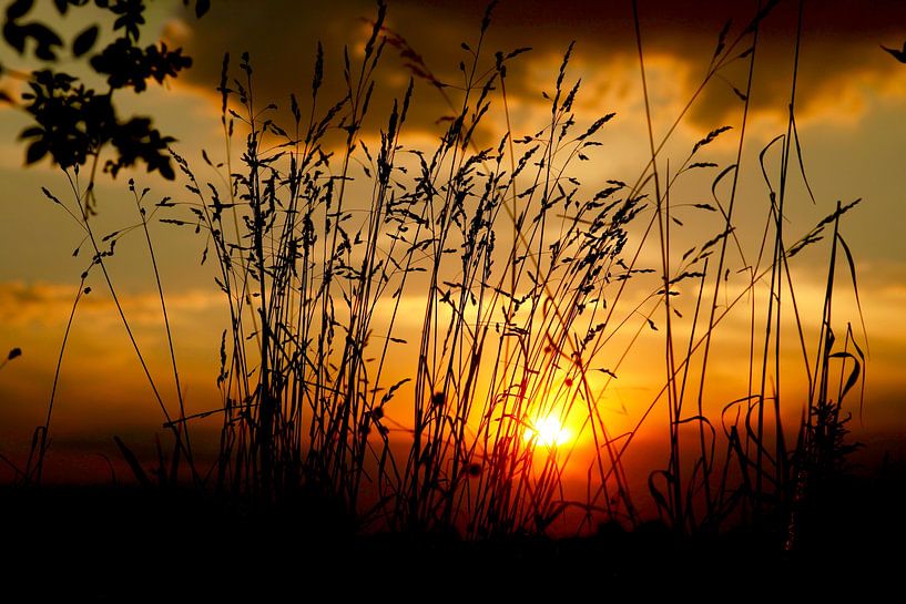 Picturesque by Thomas Jäger